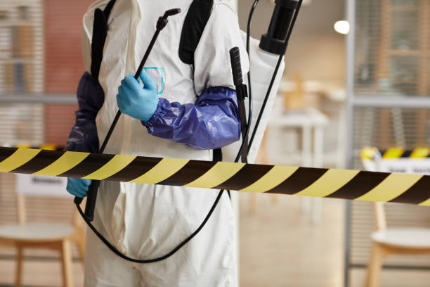 Professional Sewage Cleanup technician working in Indian Hills, CO